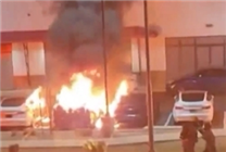 多地爆發(fā)“打倒特斯拉”活動！馬斯克：DOGE讓我付出了巨大代價(jià)